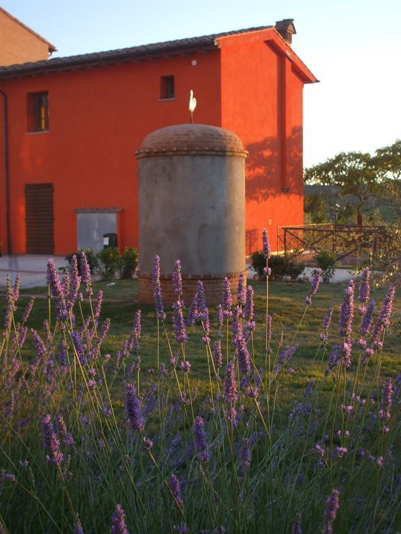 Agriturismo Borgo Stella Montespertoli Dış mekan fotoğraf